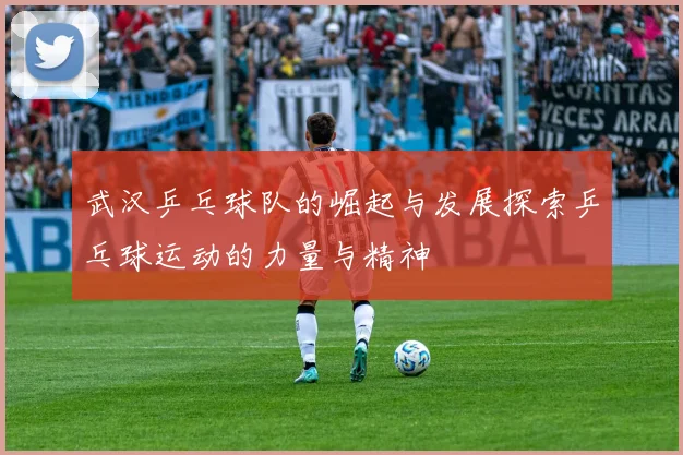 武汉乒乓球队的崛起与发展探索乒乓球运动的力量与精神