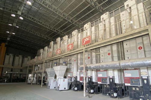 东白农产品品牌建设与市政发展双轮驱动 产业基地汇聚62家企业展新貌